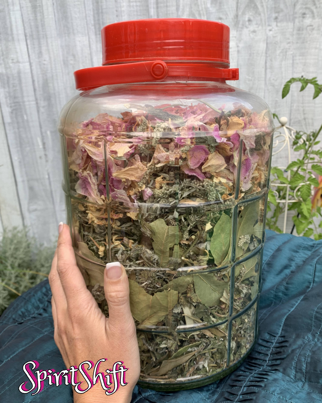 Spirit Spray  • Agua de Florida • Usui Reiki & Rahanni healing energy • Limited Batches • Vibration Elevation Essence
